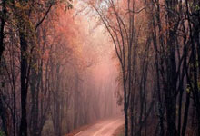 能实现吗?若维拉夺欧冠且曼联/热刺夺欧联英超下季7队踢欧冠.