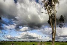 北京顺义区鹏林网球2号馆X策元照明LED专业网球场灯光.