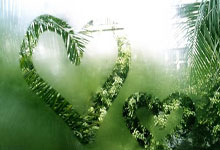 国足官方阵型442菱形中场:王上源单后腰,张玉宁、林良铭双前锋.