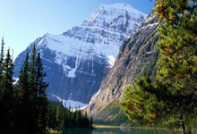 卫报:切尔西盼帕尔默尽快复出,马雷斯卡称伤病影响球队进攻.