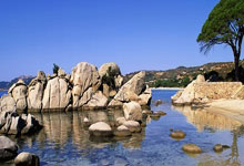 巴勒斯坦21逆转伊拉克，阿米德姆哈格纳绝杀，韦萨姆建功.